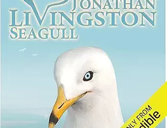 Be a Jonathan Livingston Seagull